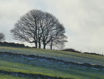 Thumbnail image of Blakelow Hill (Bonsall Moor)