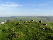 Thumbnail image of Carder Low