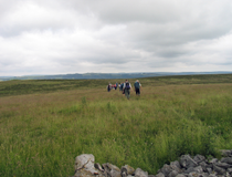 Thumbnail image of Longstone Moor