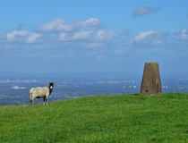 Thumbnail image of Sponds Hill