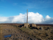 Thumbnail image of Stanedge Pole